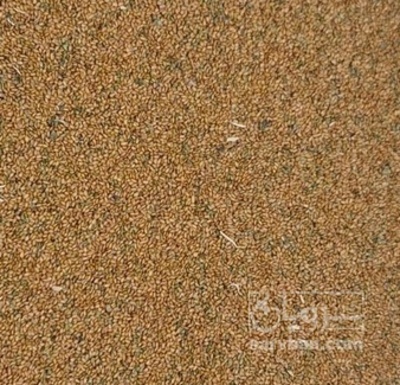 فروش خاکشیر (گیاه‌ دارویی)