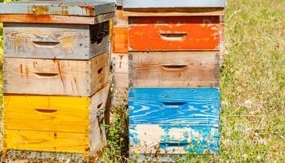 فروش عسل گون