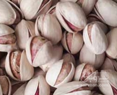 فروش پسته فندقی