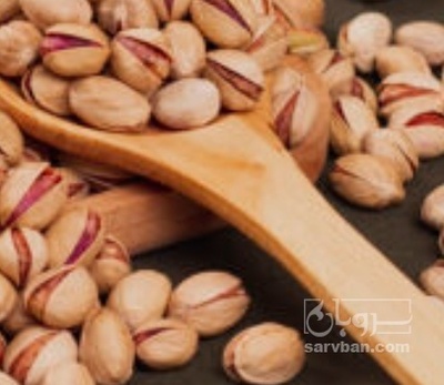 فروش پسته اکبری