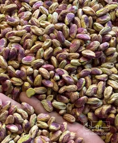 فروش پسته کالک