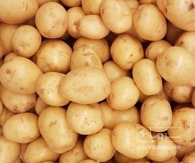 فروش سیب زمینی اگریا