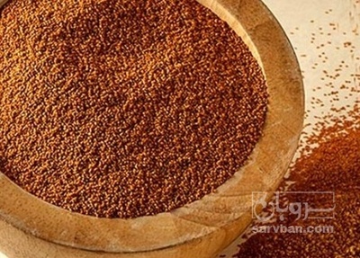 فروش خاکشیر (گیاه‌ دارویی)