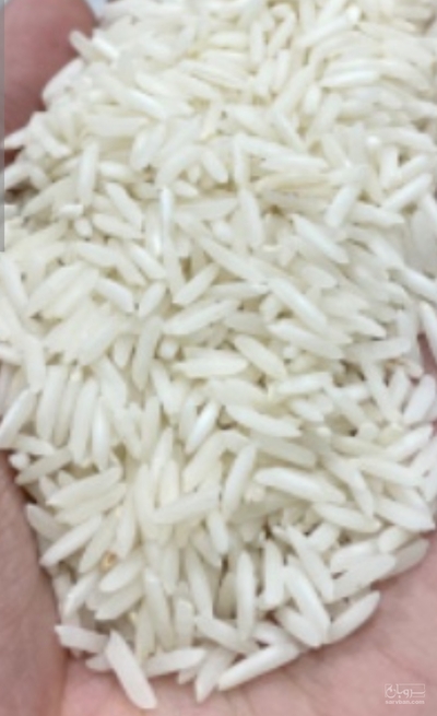 فروش برنج