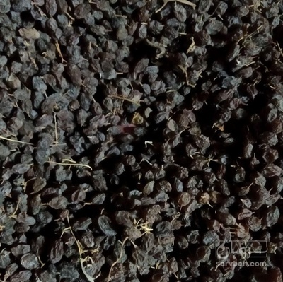 فروش کشمش افتابی