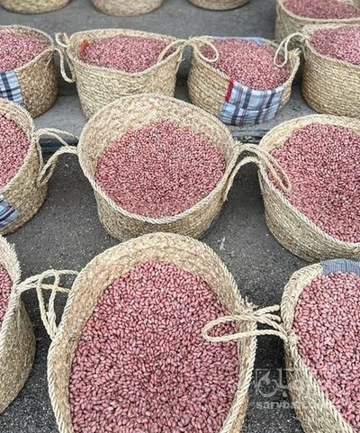 فروش بادام زمینی خام و برشته