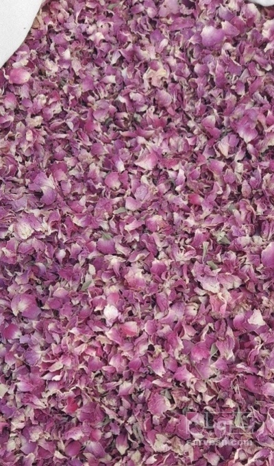 فروش گل محمدی (گیاه‌ دارویی)