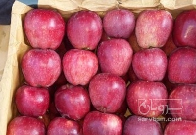 فروش سیب قرمز