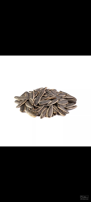 فروش تخمه آفتابگردان بود داده