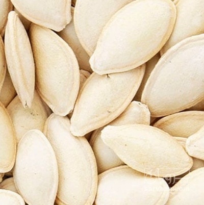 فروش تخمه  کدو