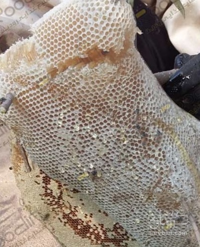 فروش عسل صدگیاه و کوهستان