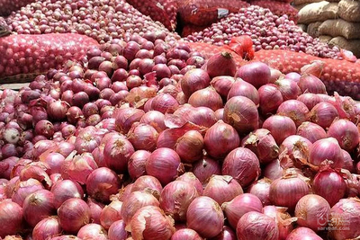 فروش پیاز قرمز