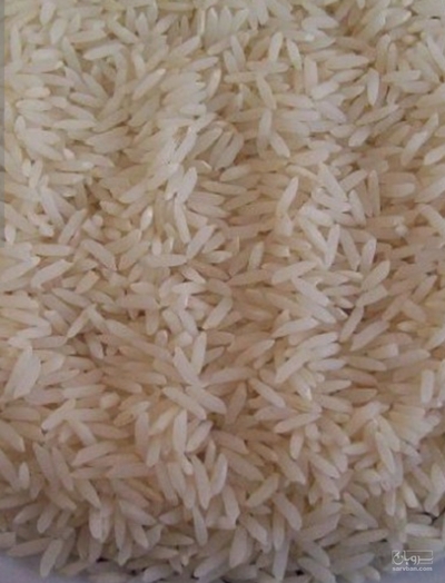 فروش برنج