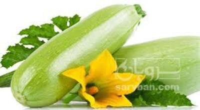 فروش کدو  سبز
