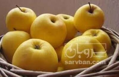 فروش سیب زرد