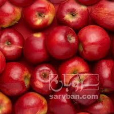 فروش سیب  قرمز
