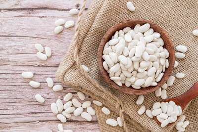 فروش لوبیا سفید