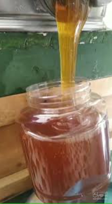 فروش عسل مریم گلی