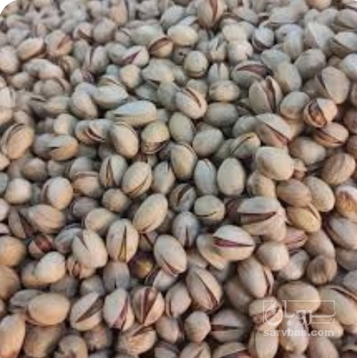 فروش پسته