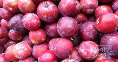 فروش آلوقرمز