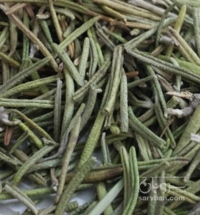 فروش رزماری (گیاه‌ دارویی)