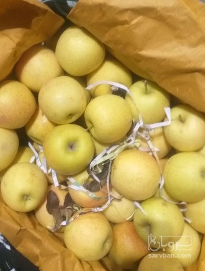 فروش سیب زرد