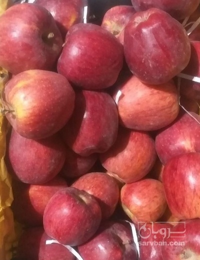 فروش سیب قرمز
