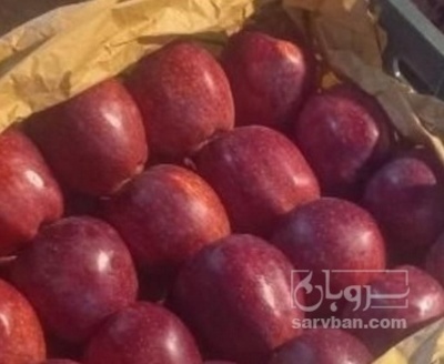 فروش سیب قرمز