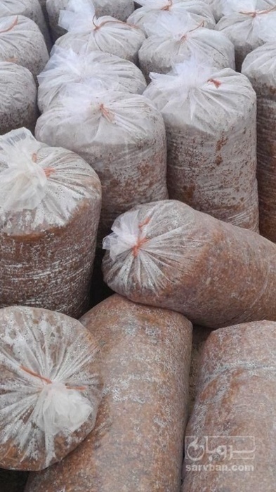 فروش تفاله سیب