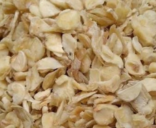 فروش سیر خشک -