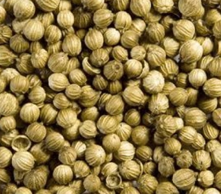 فروش تخم گشنیز (گیاه‌ دارویی)