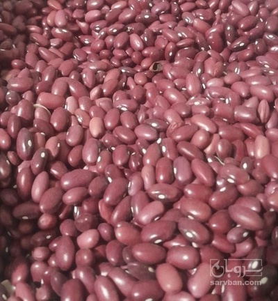 فروش لوبیا قرمز