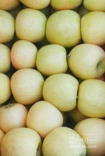 فروش سیب زرد