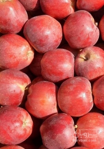 فروش سیب قرمز
