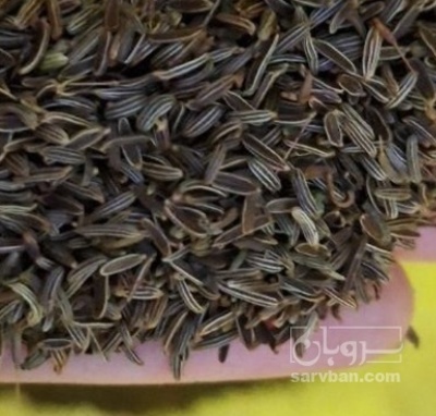 فروش زیره کوهی ارگانیک