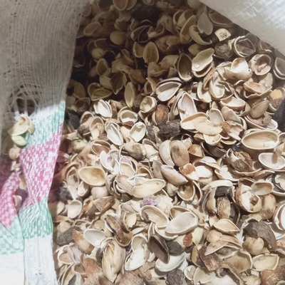 فروش پوست پسته