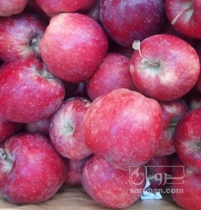 فروش سیب قرمز