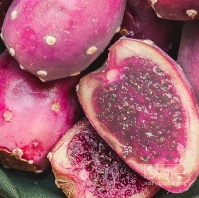 فروش میوه کاکتوس