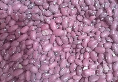 فروش لوبیا قرمز