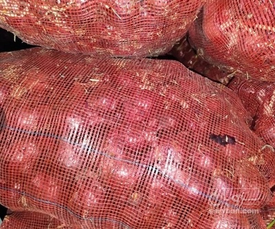 فروش پیاز قرمز