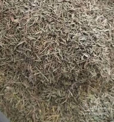 فروش آویشن خشک (گیاه‌ دارویی)