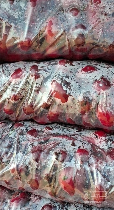 فروش چغندر لبو