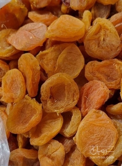 فروش برگه قیسی