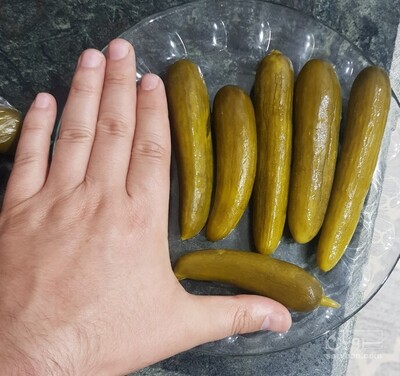 فروش خیار شور سرکه ای حلب