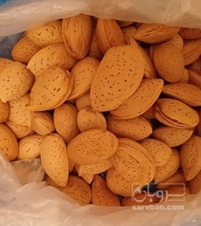 فروش بادام درختی