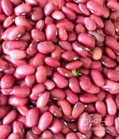 فروش لوبیا قرمز