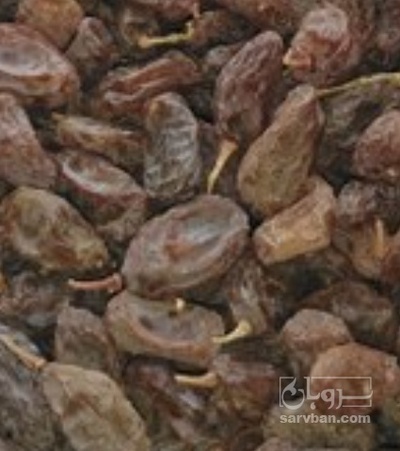 فروش کشمش افتابی ملایر