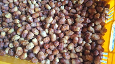 فروش خرما زاهدی