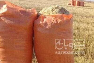 فروش کاه گندم