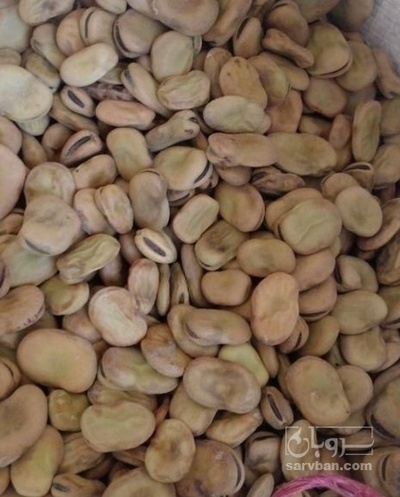 فروش باقلا خشک